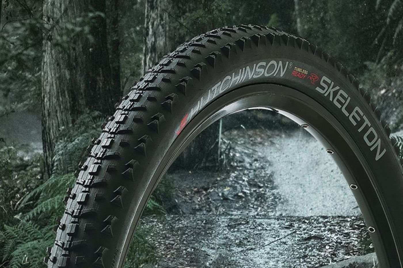 Novo pneu XC SKELETON