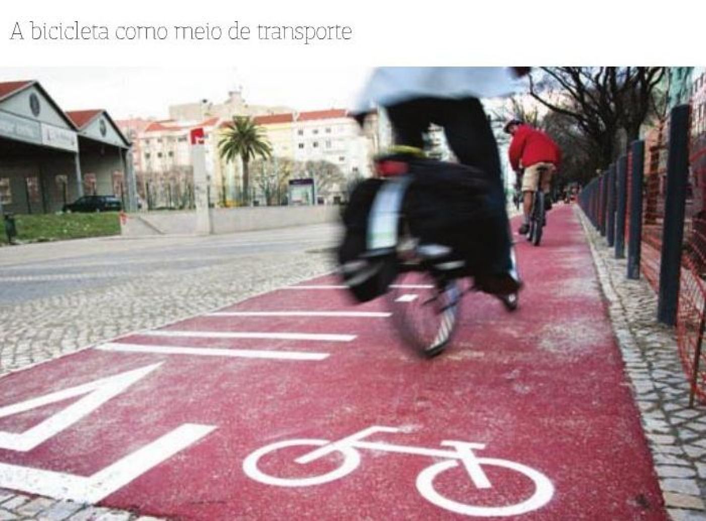 Seguro escolar já protege deslocações de bicicleta