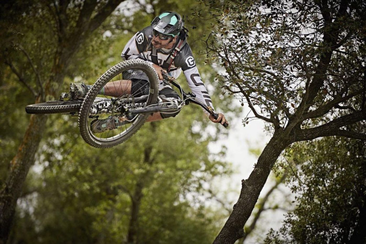 Forestal Bikes