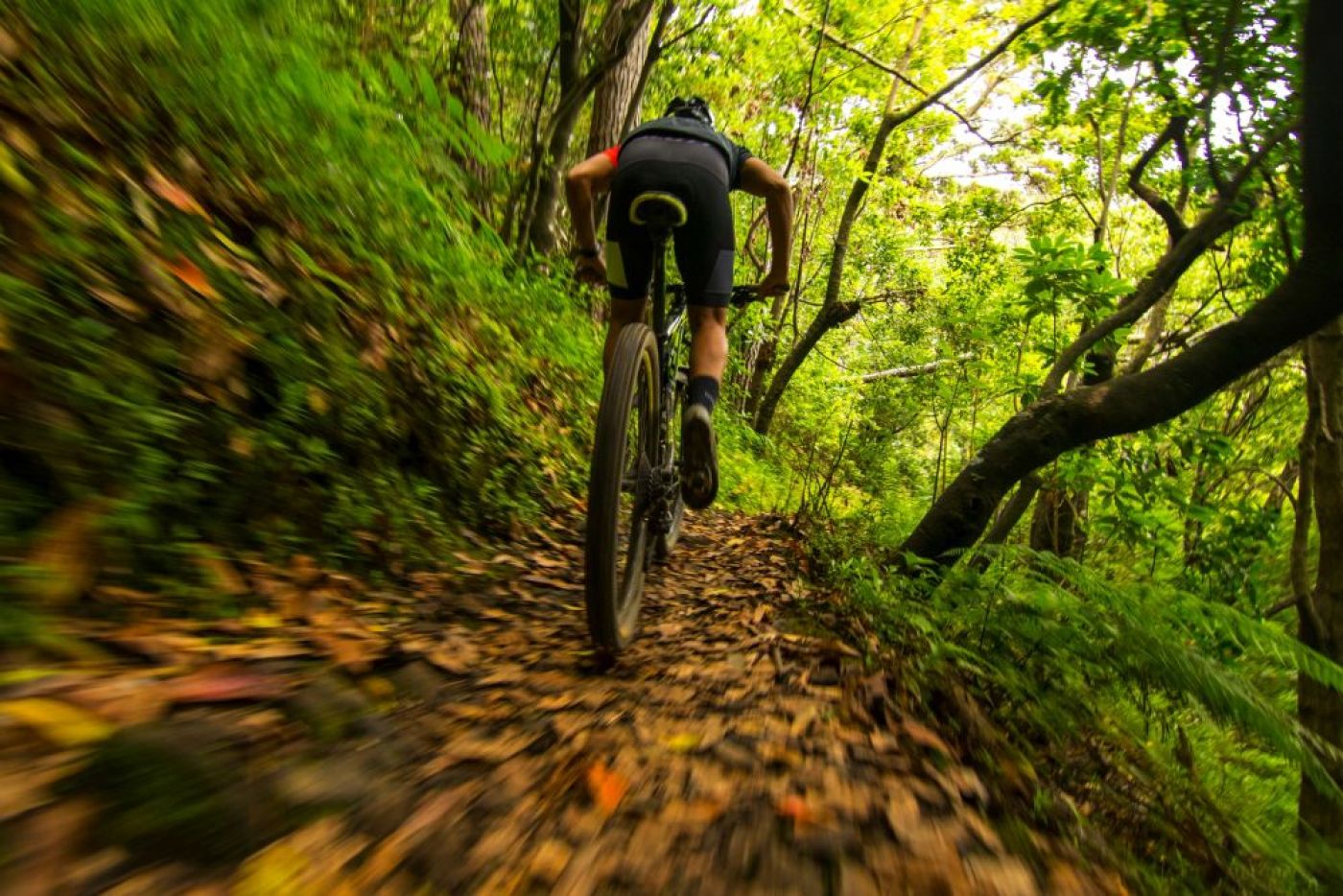 Madeira Bike Race 2020